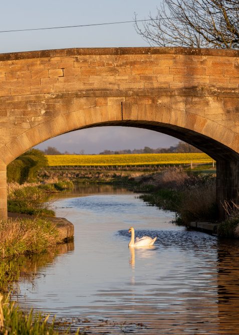 Linlithgow Canal Bridge, iStock
